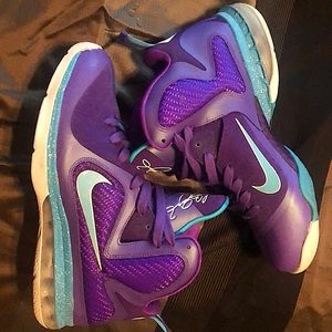 Lebron 9 summit lake hornets